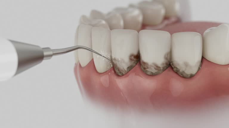 Reliable Dental contractor in Denton, NC by Dentist Open Now